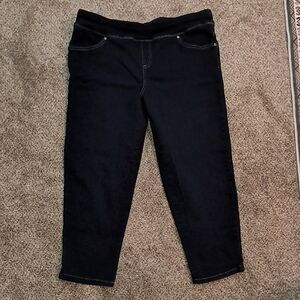 Terra & Sky Women's Stretch Waist Dark Wash Blue Jeans OX (14W) Petite